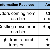 4th Grade Science - 4-LS1-2 - Animal Senses