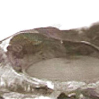 Внутрішні процеси, що зумовлюють зміни в земній корі та на поверхні земної кулі