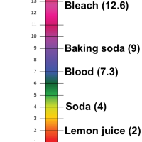 pH, acids, and bases