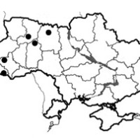 Виробництво деревини, паперу