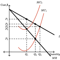 The effects of government intervention in different market structures