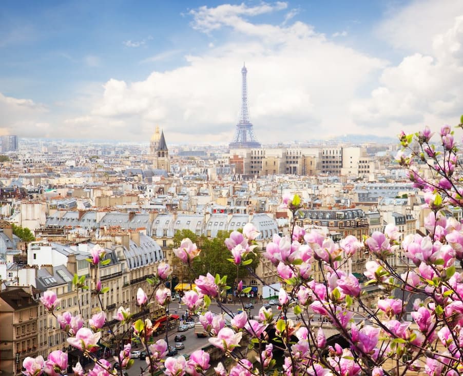 View of the Eiffel Tower in Paris