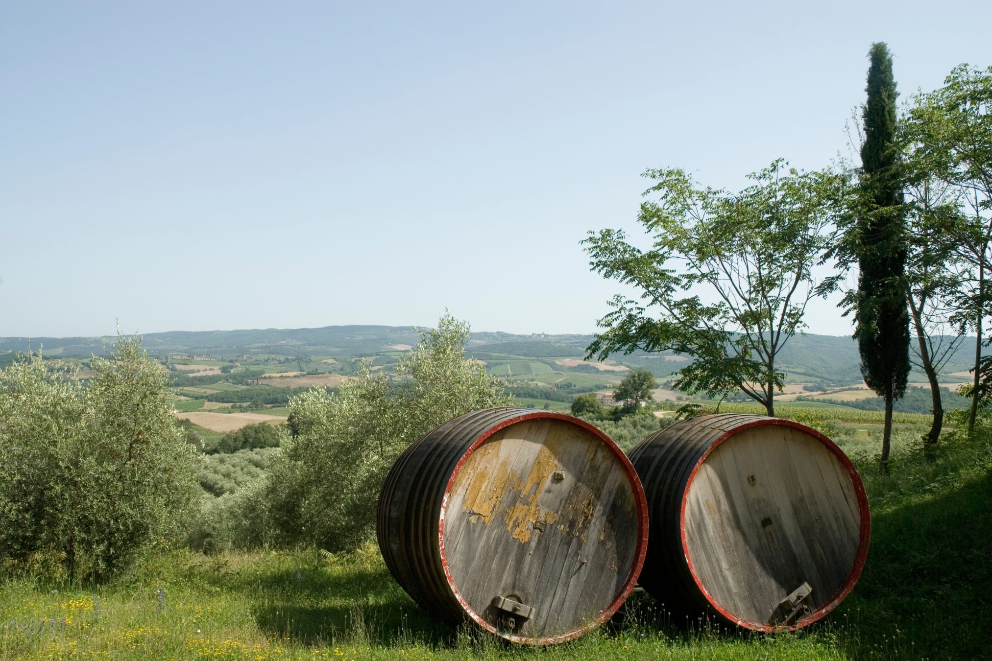 Chianti Excursion