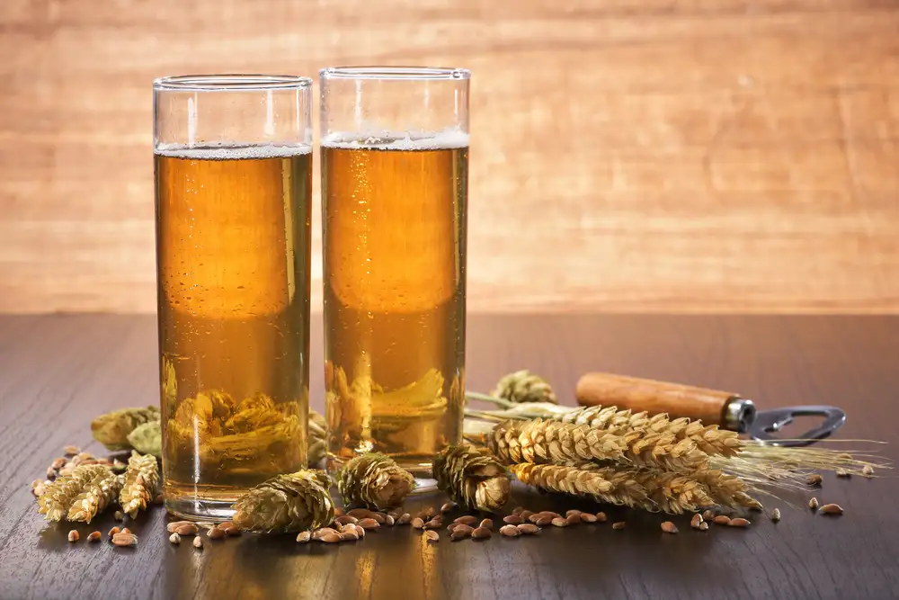 Beer in Two Glasses with Wheat and Hops Next to It