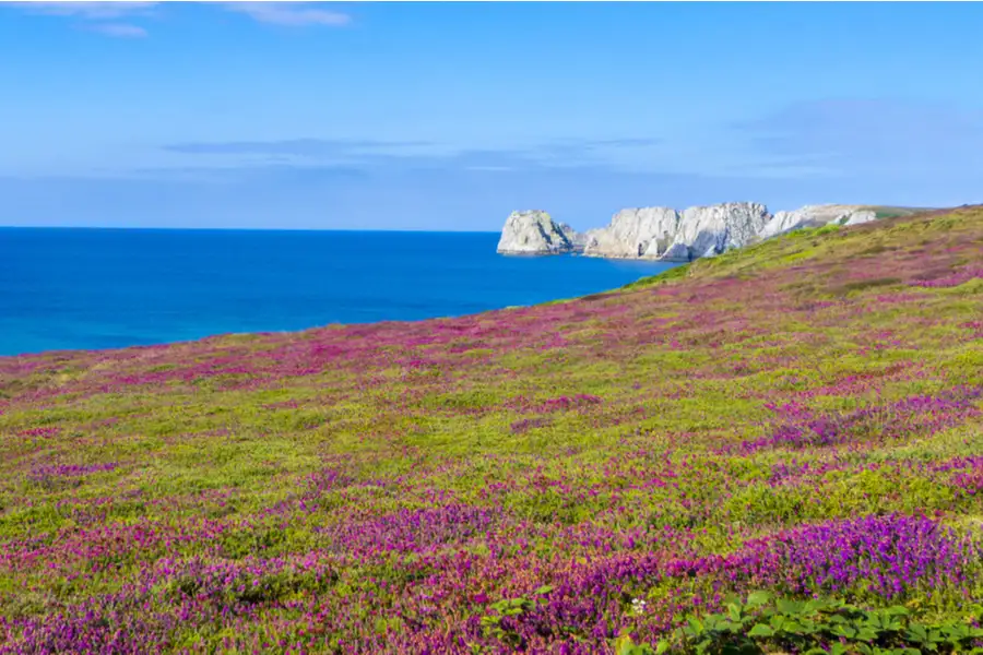 Tranquil Brittany coast