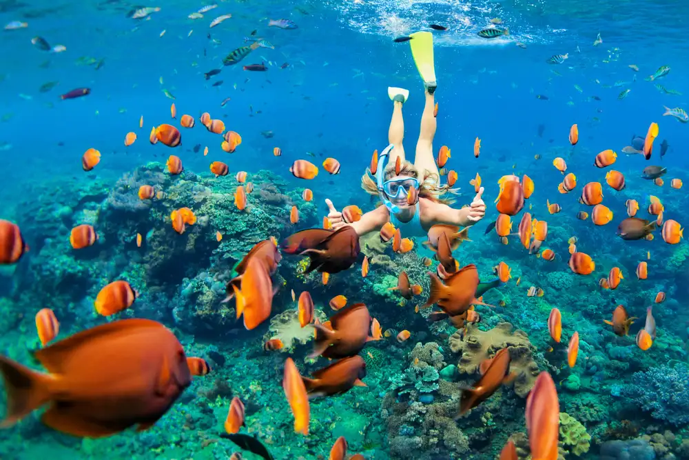 A Woman Snorkelling in Crystal Clear Blue Water Phuket