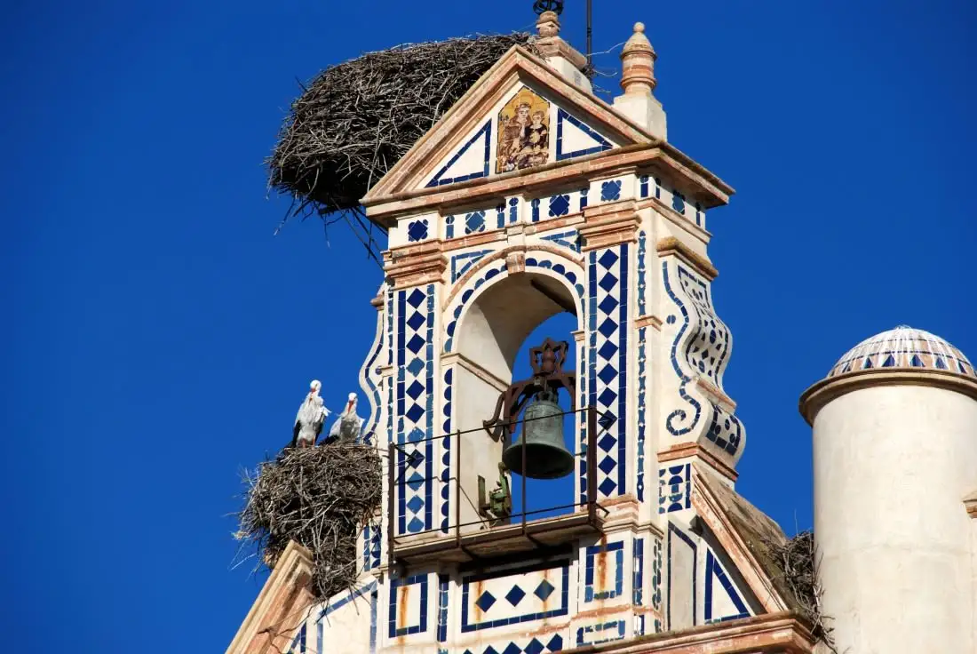 the bell tower of the san francisco church in seville