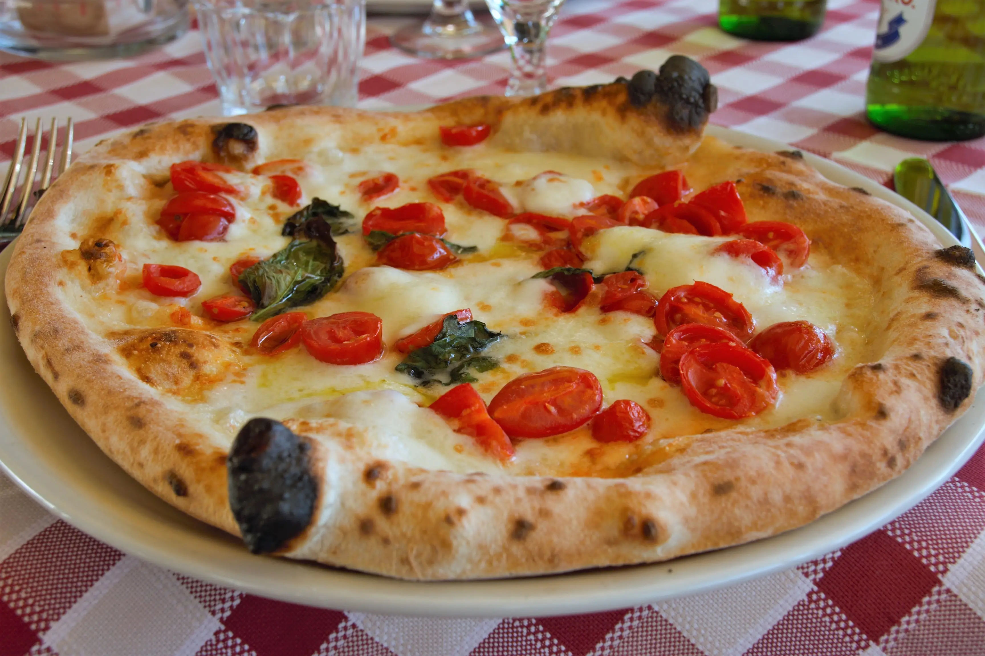 Plate of Napolese Style Pizza on a Checkered Tablecloth