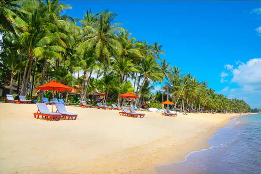 Red Beach Umbrellas and Red Deck Chairs Sit on a White Sandy Beach