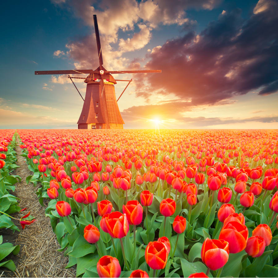 Depart Amsterdam