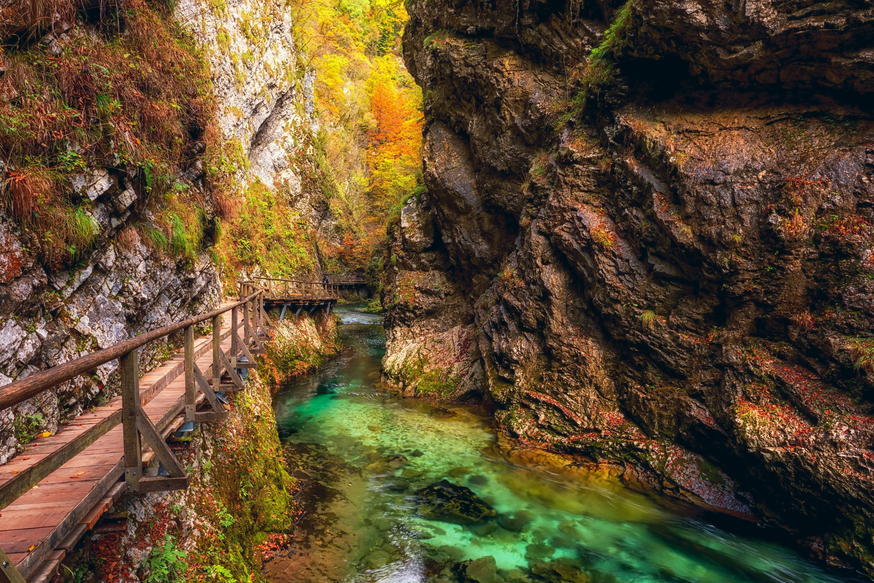 Vintgar Gorge