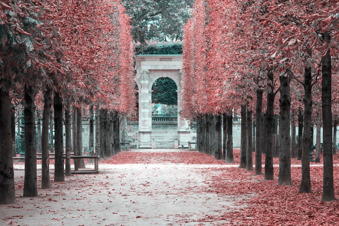 Tuileries Garden