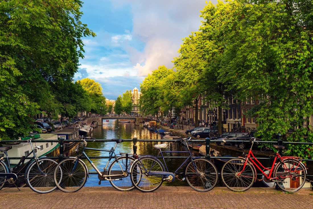 Guided Bike Tour