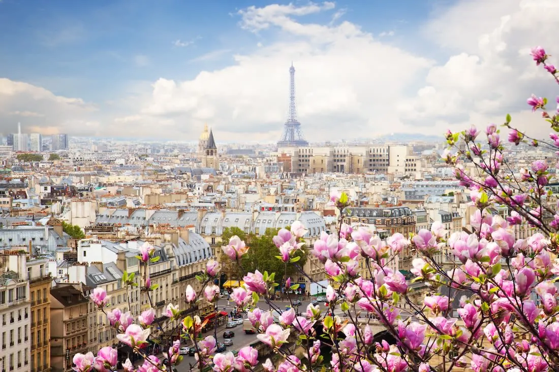  Paris to Provence: A 15-Day Family-Friendly France Itinerary