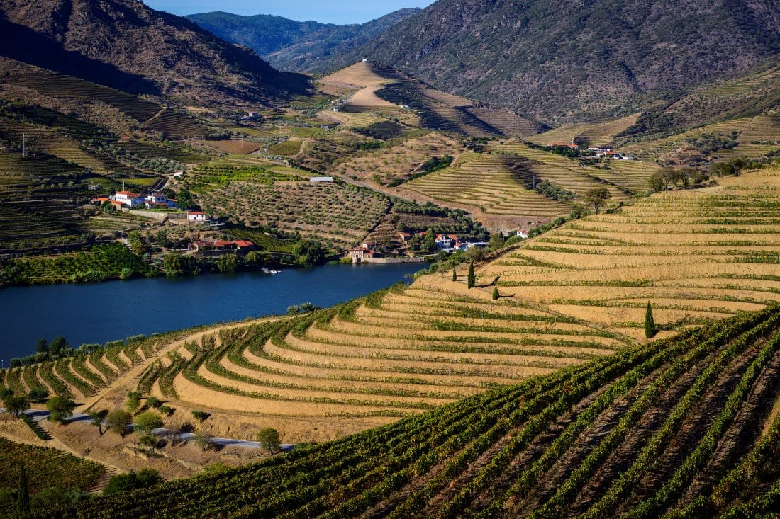 Douro River Excursion