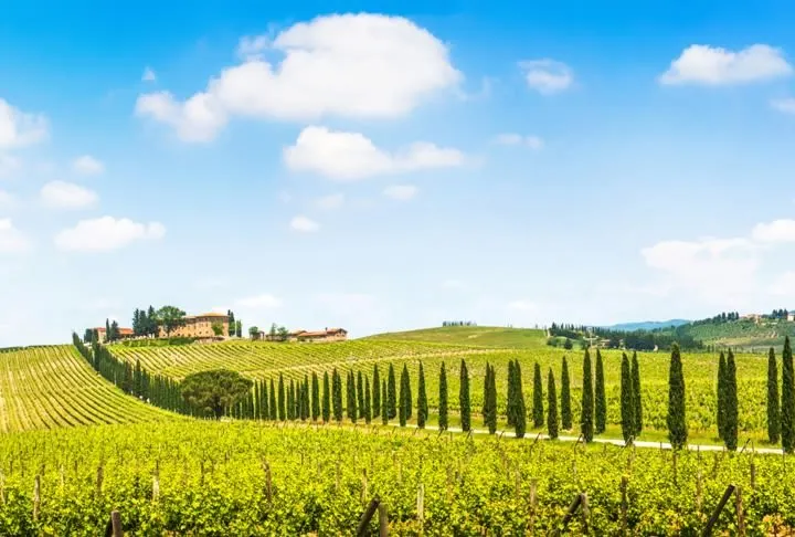 3-Week Culinary & Cultural Journey Through Italy