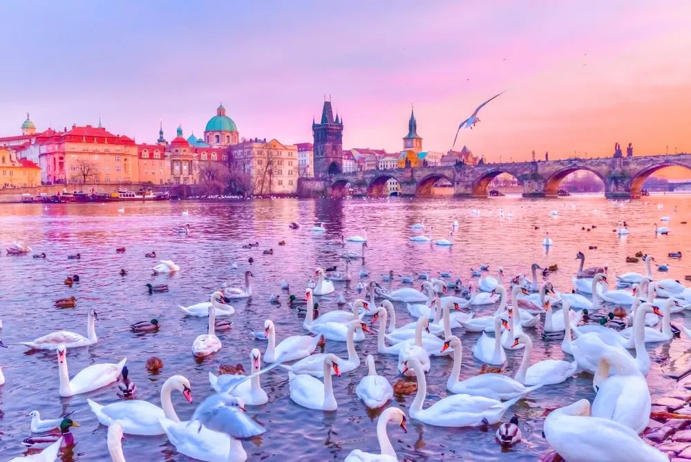 Top 10 Reasons to Visit Prague