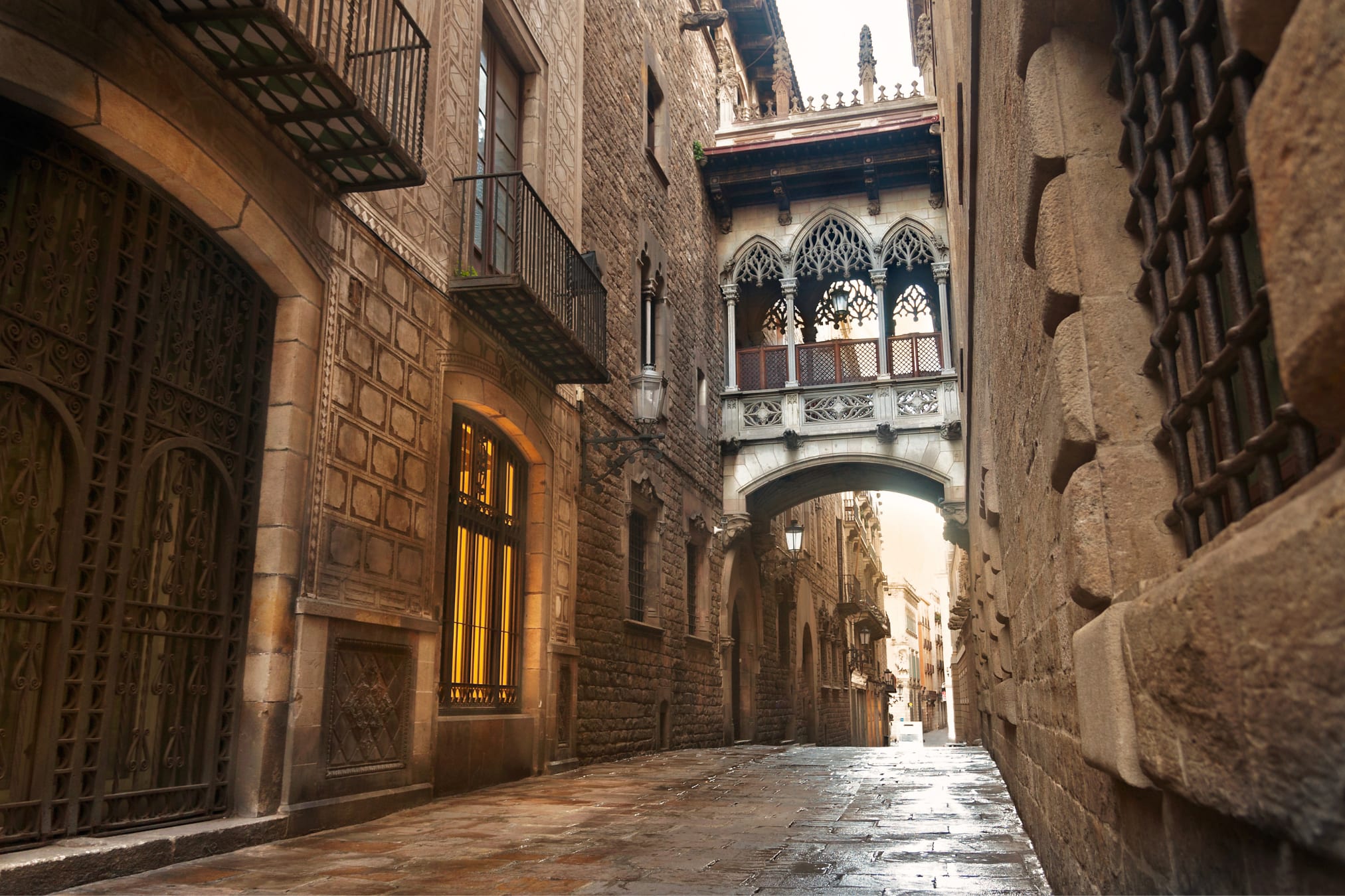 Tour of Gothic Quarter & Picasso Museum