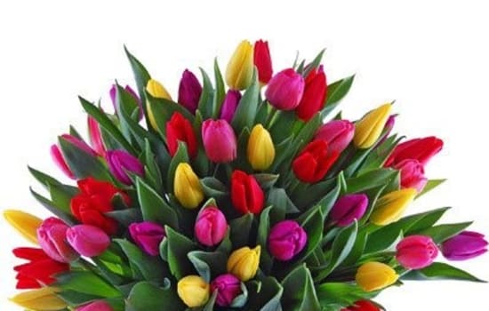 „Naszym Bohaterom”  konkurs na laurkę - podziękowanie adresowany do uczniów klas I-III