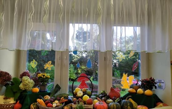 KĄCIKI PANI JESIENI