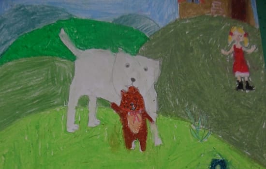 Ilustracja do książki Pamiętnik Czarnego Noska
