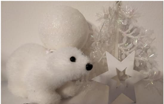 PROPOZYCJE AKTYWNOŚCI DLA GRUPY MOTYLKI I SŁONECZKA NA 14.01.22