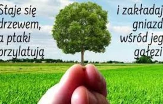 Katecheza dla zerówki na dzień 11.02