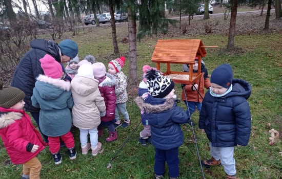 MOTYLKI  DOKARMIAJĄ PTAKI