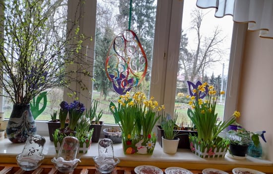 WIOSENNNE KĄCIKI PRZYRODY