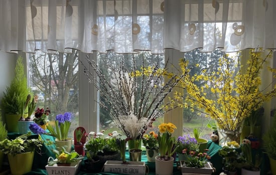 WIOSENNE KĄCIKI  PRZEDSZKOLAKÓW