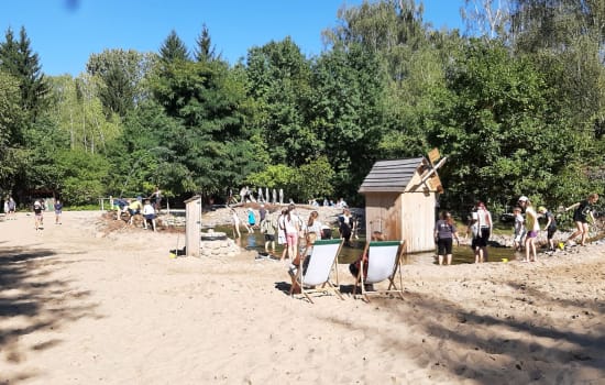 WYCIECZKA KLAS 1-3 DO LASU ODKRYWCÓW