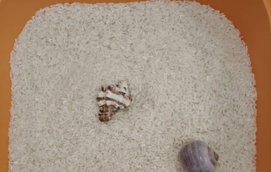 GRAMY ZMYSŁAMI- DOTYK