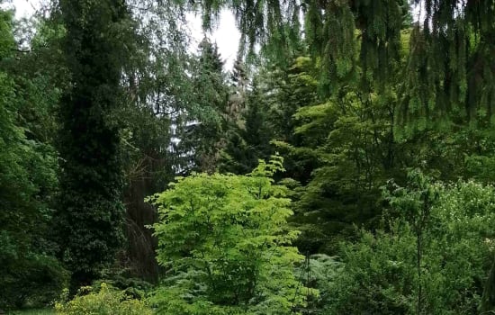 Wycieczka uczestników projektu „Przygoda z przyrodą”  z  klas 1–3 do Ogrodu Botanicznego w Lublinie.