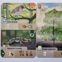 Forest Shuffle: Hobby Next Promo Cards