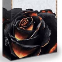 Black Rose Wars: Ordalia
