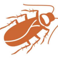 Cockroach (fan expansion for Hive)