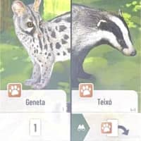 Embosca't: Geneta / Teixó Promo Card