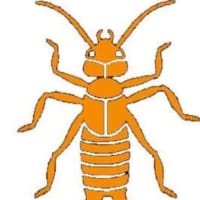 Earwig (fan expansion for Hive)