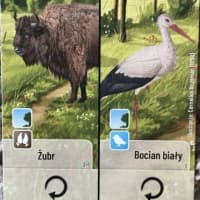 Leśne Rozdanie: Żubr / Bocian biały Promo Card
