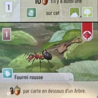 Forêt Mixte: Cigale / Fourmi Rousse Promo Card