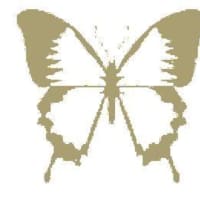 Butterfly (fan expansion for Hive)