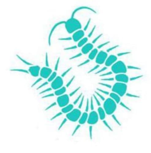 Centipede (fan expansion for Hive)
