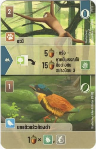 Forest Shuffle: Gibbon / Pitta Promo Card