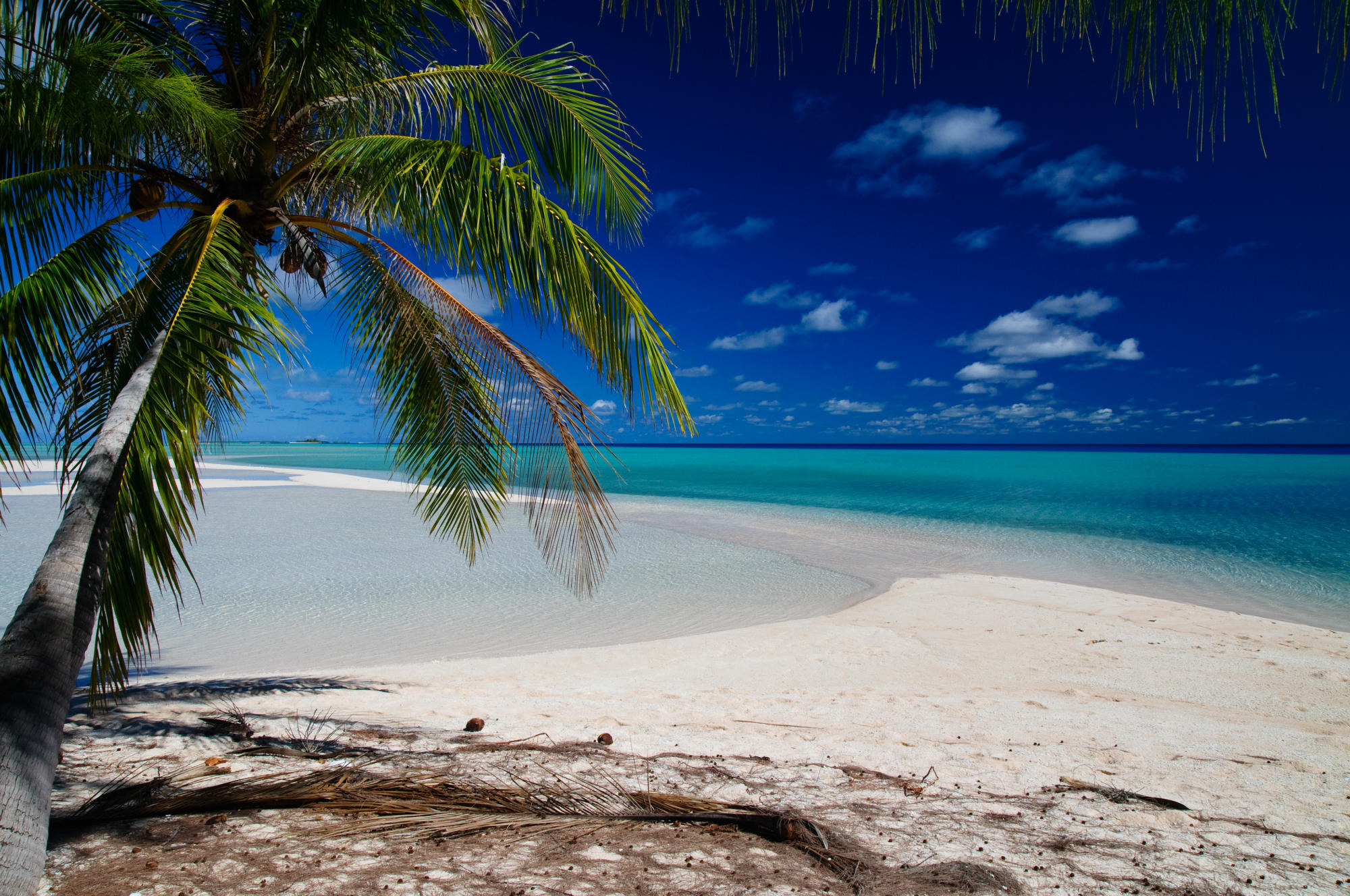 toau atoll in french polynesia