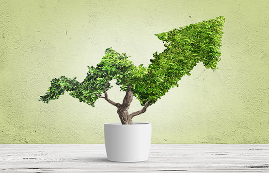 Five Customer Engagement Strategies to Boost Your Brand from the Customer Loyalty Experts at Brierley