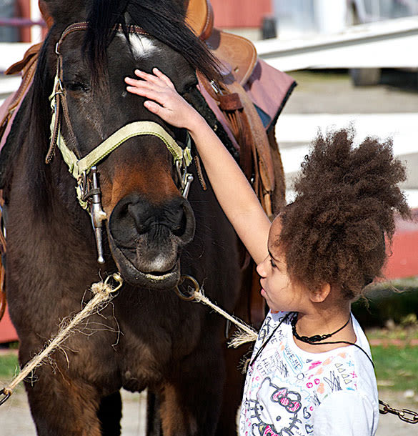 Winter Riding Lessons