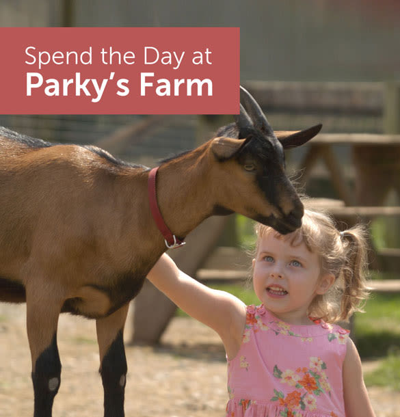 Parky’s Farm