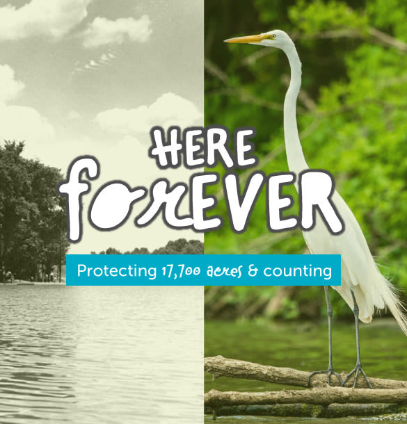 Protecting 17,700 acres and counting