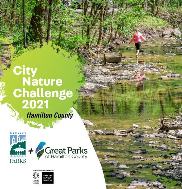 City Nature Challenge