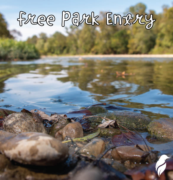 Free Park Entry
